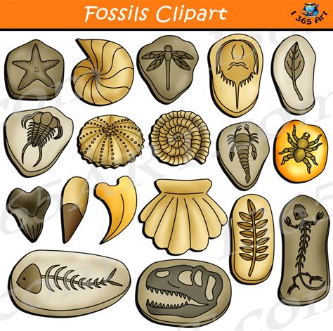 fossil clip art simple.